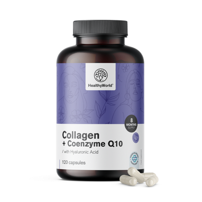 Collagene + Coenzima Q10