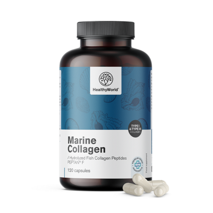 Collagene marino 1170 mg