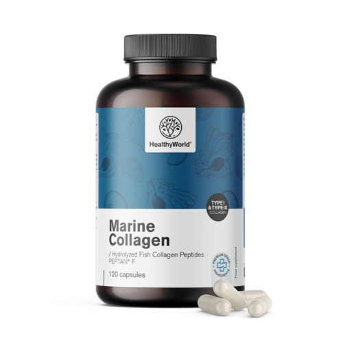 Collagene marino 1170 mg