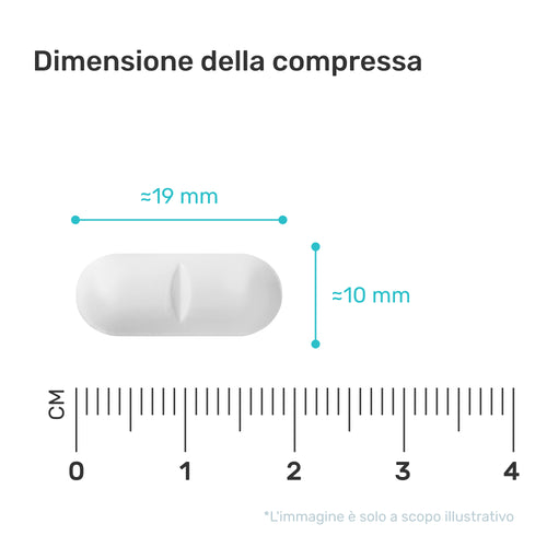 MSM 2400 mg – con vitamina C