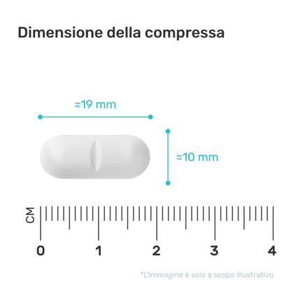 MSM 2400 mg – con vitamina C